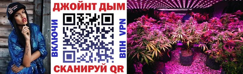 Шишки марихуана VHQ  наркошоп  Балей 